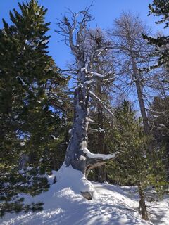 Foto von Guido Lovati entlang der Tour
