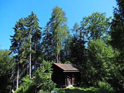 Planken - Feldkirch