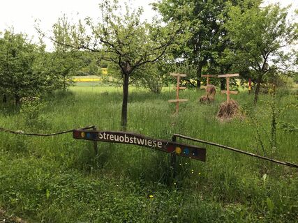 Schulgarten Wilhelm-Henneberg-Schule