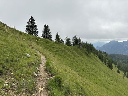 Foto von justasimpleguy entlang der Tour