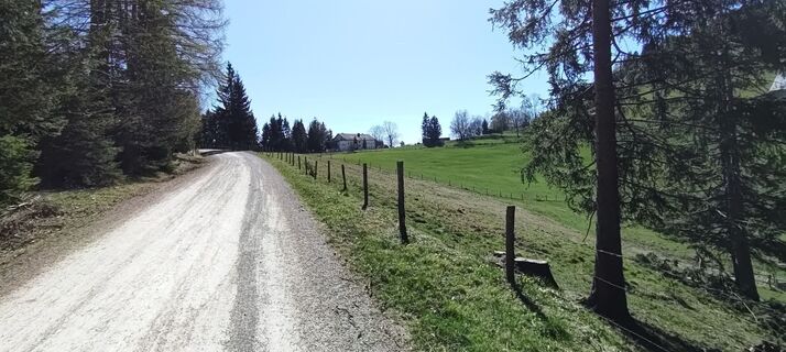 Fotografija s spletne strani wolfkl na poti