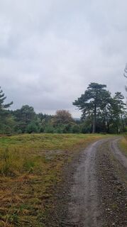 Photo de Volker Wagener le long du parcours