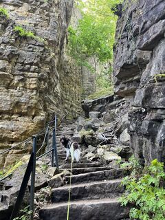 Photo de Linda v.d. Meij le long du parcours