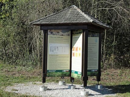 Gerlhamer Moor
