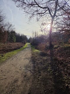 Photo de Silke S. le long du parcours