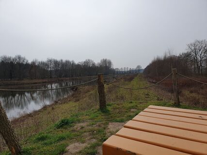 Zdjęcie z Margje Wolthuizen wzdłuż trasy