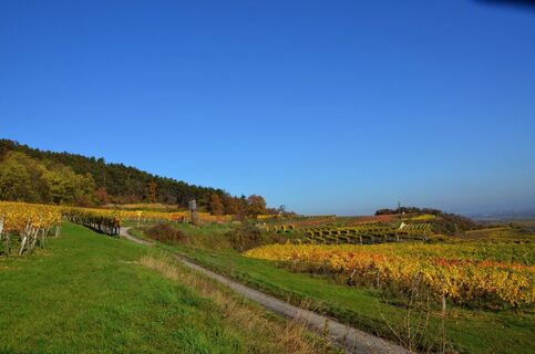 Auch im Herbst bietet sich die Wanderung an