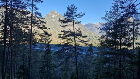Vom Aufstiegsweg Blick auf die Saldeiner Spitze