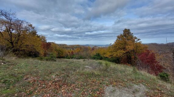 Fotografija s spletne strani Marco pizziolo na poti