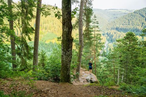 Blick vom Beilfelsen