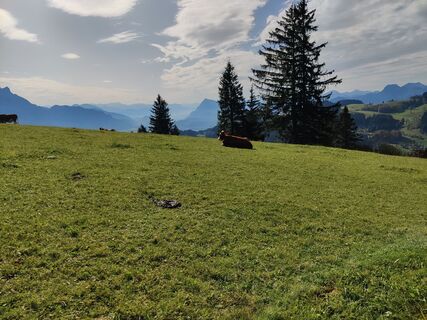 Fotografie z Andreas Schöwe na trase