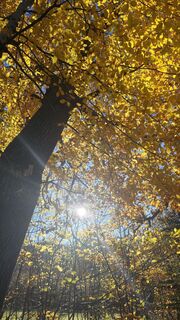 Fotografia z G. Saltuari na trase