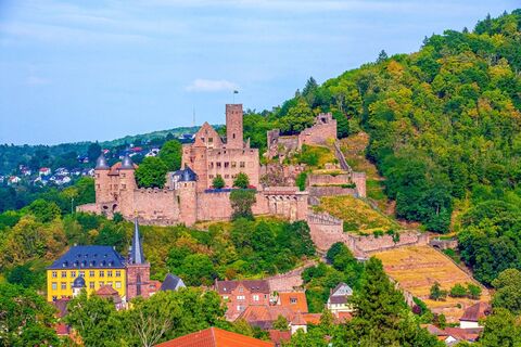 Burg Wertheim