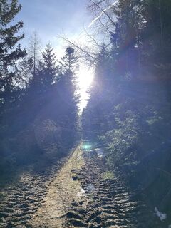 Fotografia z Gerald na trase