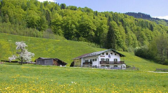 Ferienwohnung Holzenlehen