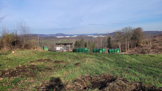 Photo de Anna48 Ma le long du parcours