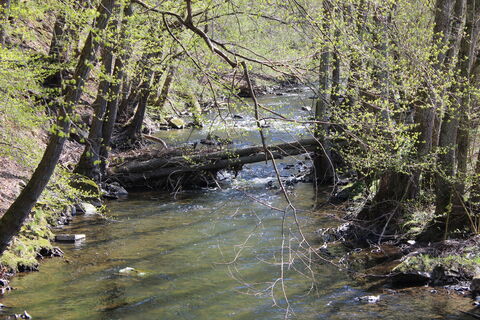 Ennepetal_Ennepe am Hohenstein