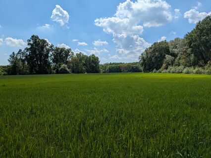Foto von Edero entlang der Tour