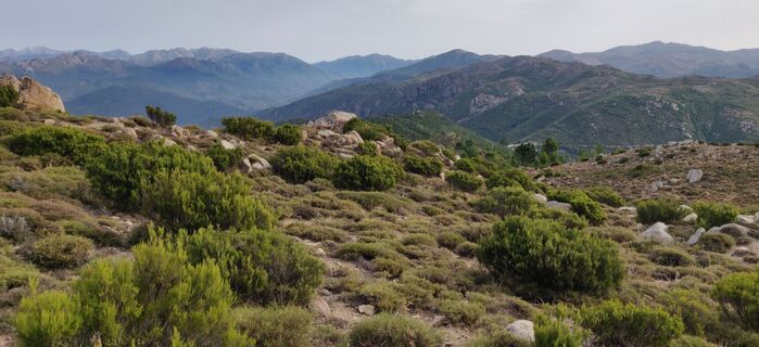 Photo de Rosa Walk-jansen le long du parcours