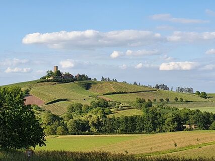 Ravensburg Sulzfeld