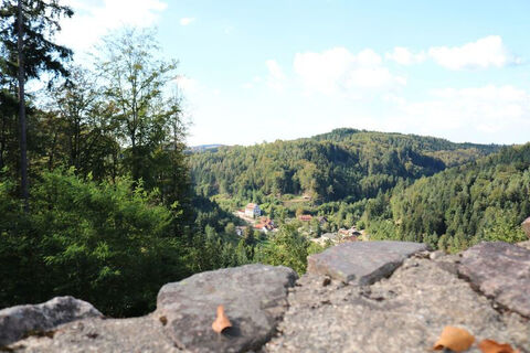 Burgruine Keppenbach