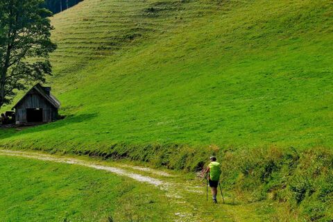 Entspannt durch die Waldheimat