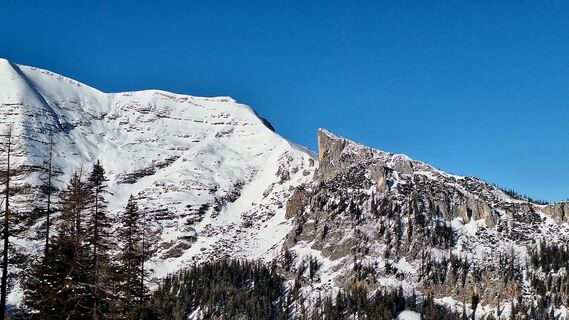 Fotografia z Regina Fleischmann na trase