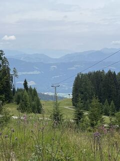 Photo de Oli le long du parcours