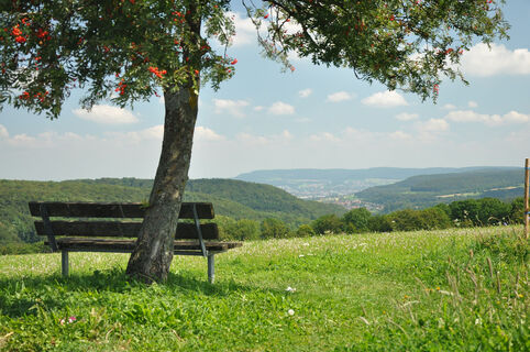 Blick von Lauterburg