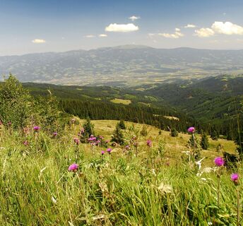 Saualpe Talblick