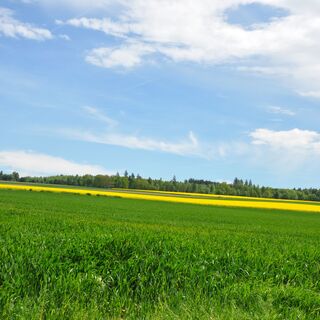 Zemljevid