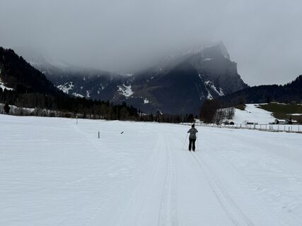 Foto von Diana Spreer entlang der Tour