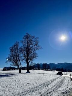 Fotografija s spletne strani Susanne na poti