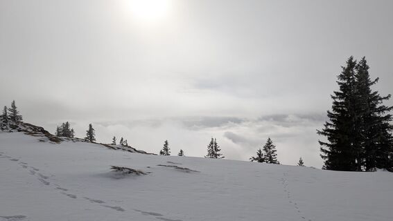 Foto de Johannes Zaunrith (Xinoi) a lo largo del recorrido