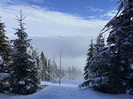 Photo de Natur_erleben_dg le long du parcours