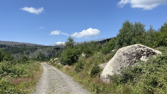 Photo de Ma Wa le long du parcours