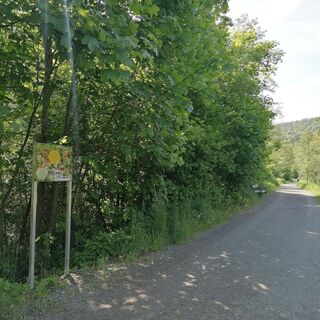 Stationen um den Burgsee