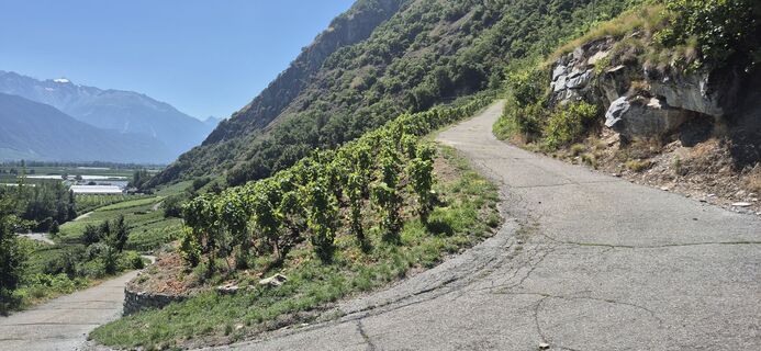 Foto de German Pauls a lo largo del recorrido