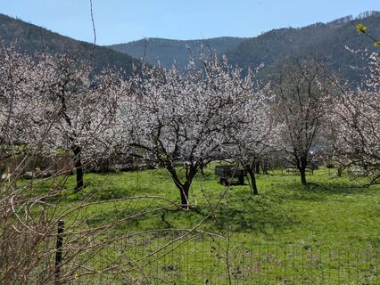 Fotografia z Edero na trase
