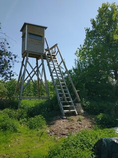 Fotografie z Janlee na trase