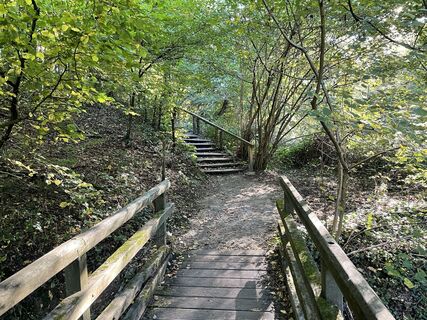 Fotografia z Thorsten Schulze na trase