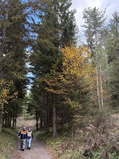 Fotografija s spletne strani Dietlinde Fischer na poti
