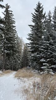 Foto de Raphael Höller a lo largo del recorrido