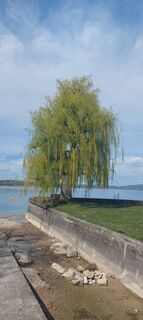 Foto von brauni69 entlang der Tour