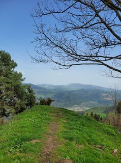 Photo de Juliane Jarke le long du parcours