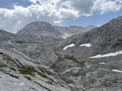 Foto da Grizzli lungo il tour