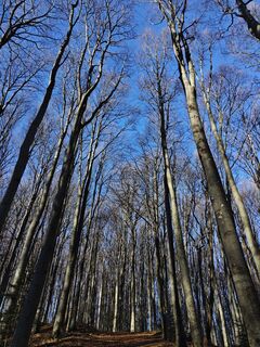 Photo de Sabine le long du parcours