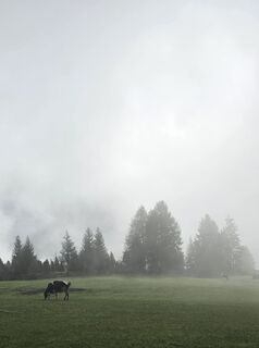 Foto von Gianluca Bucciantini entlang der Tour