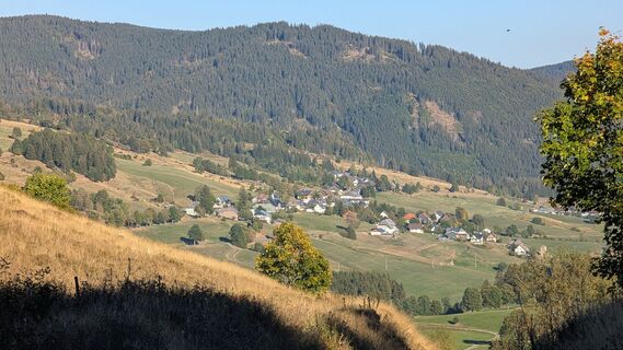 Bernau im Schwarzwald Zu den Glanzpunkten über dem Hochtal (10)