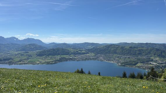 Gmunden, Oberösterreich/Österreich